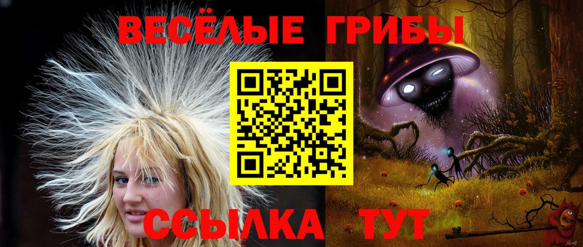 Калач-на-Дону  Галлюциногенные грибы MAGIC MUSHROOMS  Вход с VPN 